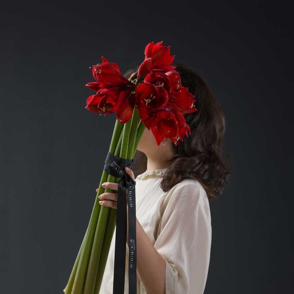 Buchet Amaryllis Rosu