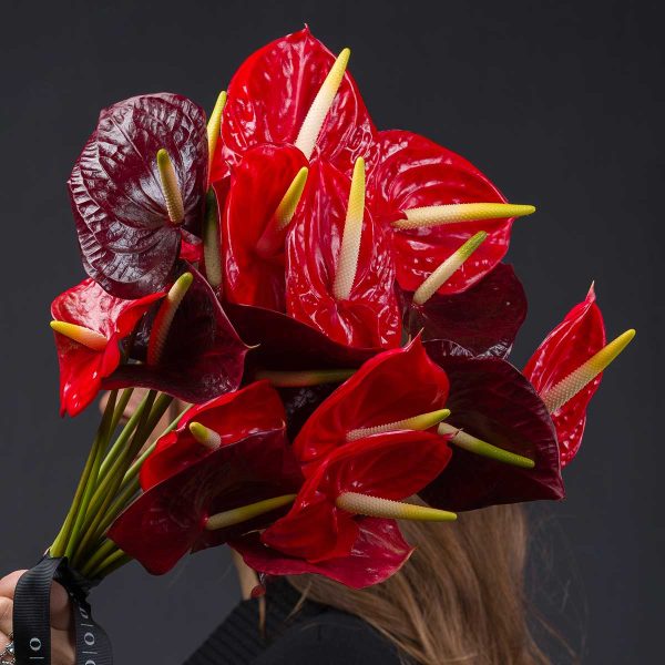 Buchet Anthurium Rosu