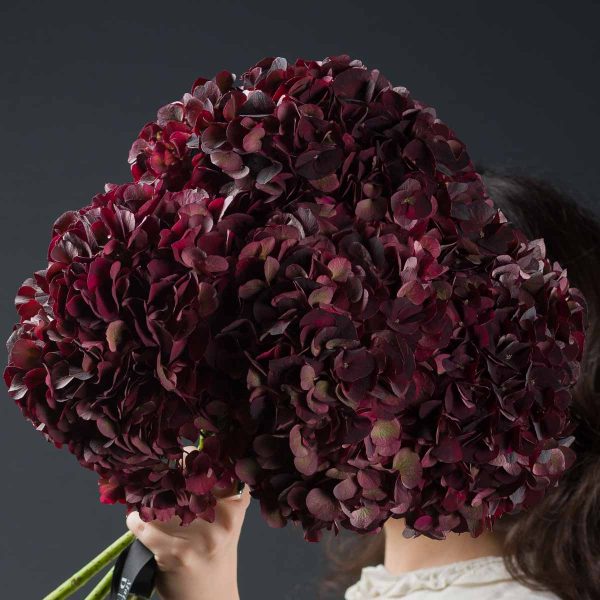 Buchet Hortensii Burgundy