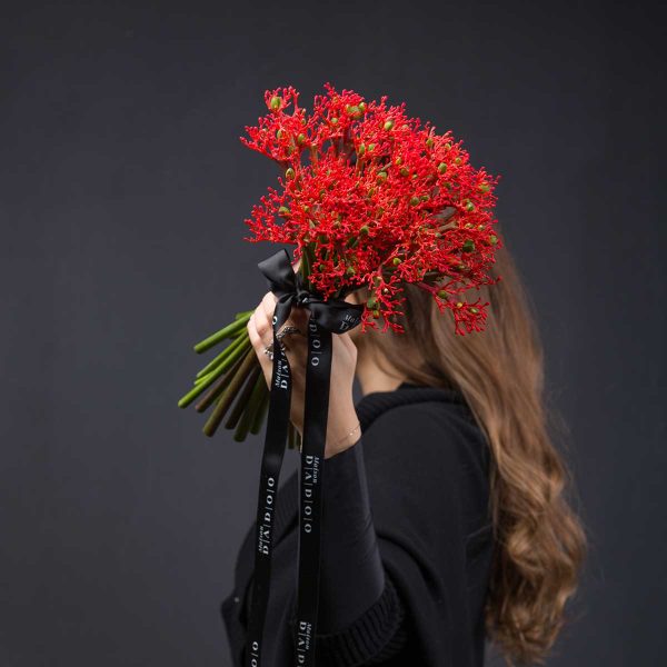 Buchet Jatropha Firecracker